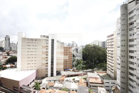 Vista de apartamento para alugar com 2 quartos, 115m² em Vila Mariana, São Paulo