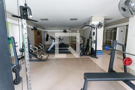 Apartamento para alugar com 126m², 3 quartos e 2 vagas Apartamento para alugar com 126m², 3 quartos e 2 vagasÁrea comum - Academia