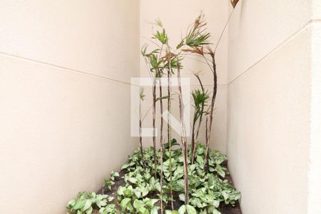 Apartamento para alugar com 28m², 1 quarto e sem vagaÁrea comum