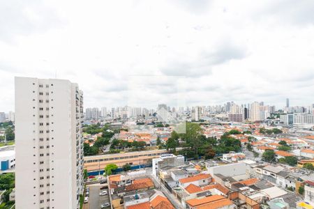 Apartamento à venda com 78m², 3 quartos e 2 vagasSuíte - Vista