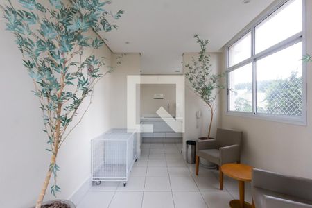 Apartamento para alugar com 75m², 2 quartos e 1 vagaEspaço Pet