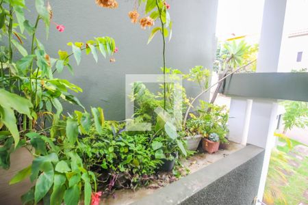 Casa de condomínio à venda com 250m², 5 quartos e 3 vagas Casa de condomínio à venda com 250m², 5 quartos e 3 vagasJardim