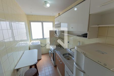 cozinha de apartamento para alugar com 1 quarto, 35m² em Botafogo, Campinas