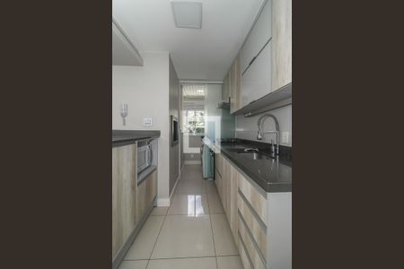 Cozinha de apartamento para alugar com 3 quartos, 75m² em Jardim Carvalho, Porto Alegre
