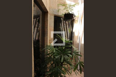 Jardim de casa à venda com 4 quartos, 583m² em Vila Palmeiras, São Paulo