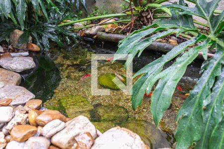 Casa à venda com 300m², 4 quartos e 3 vagasLago ornamental