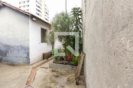 Casa à venda com 300m², 4 quartos e 3 vagasLago ornamental