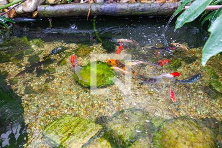 Casa à venda com 300m², 4 quartos e 3 vagasLago ornamental