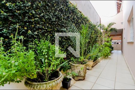 Casa à venda com 275m², 3 quartos e 3 vagasCorredor Lateral 