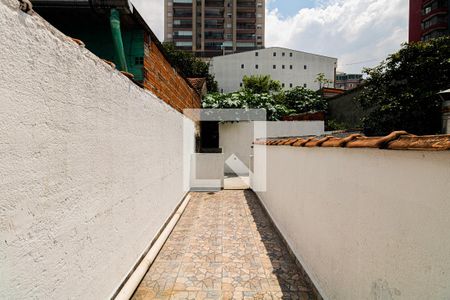 Quintal de casa para alugar com 2 quartos, 200m² em Vila Guilherme, São Paulo