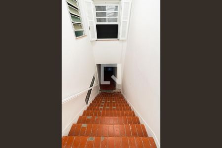 Escada de casa para alugar com 2 quartos, 200m² em Vila Guilherme, São Paulo