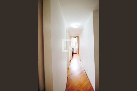 Apartamento à venda com 238m², 5 quartos e 5 vagasCorredor 