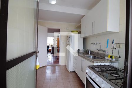 Apartamento à venda com 238m², 5 quartos e 5 vagasCozinha 