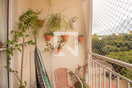 Varanda da Sala de apartamento à venda com 3 quartos, 76m² em Jardim Carvalho, Porto Alegre