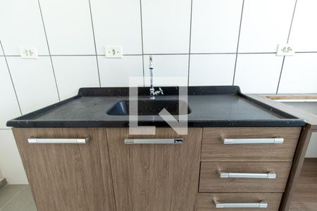 Apartamento para alugar com 52m², 2 quartos e 1 vagaDetalhe da cozinha