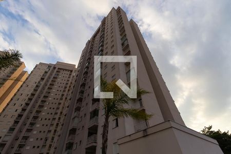 Apartamento para alugar com 87m², 3 quartos e 2 vagasFachada do bloco