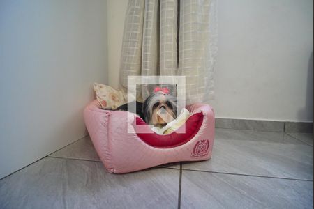 Sala _Dona do ap de apartamento à venda com 2 quartos, 40m² em Jardim Dona Leopoldina, Porto Alegre