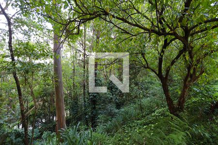 Apartamento para alugar com 65m², 2 quartos e 1 vagaÁrea comum - bosque