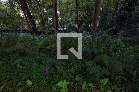 Apartamento para alugar com 65m², 2 quartos e 1 vagaÁrea comum - área verde