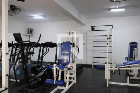 Área comum de apartamento para alugar com 3 quartos, 82m² em Vila Paulista, São Paulo