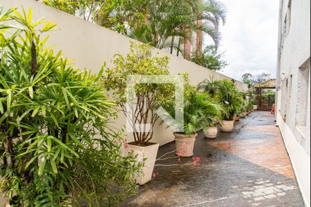 Apartamento para alugar com 80m², 2 quartos e 1 vaga Apartamento para alugar com 80m², 2 quartos e 1 vagaÁrea comum