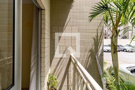 Varanda da Sala de apartamento para alugar com 3 quartos, 67m² em Cambuci, São Paulo