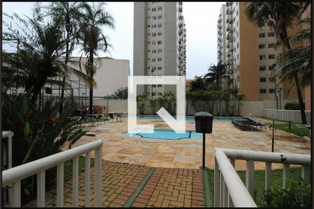 Área comum - Piscina de apartamento para alugar com 3 quartos, 67m² em Cambuci, São Paulo