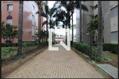 Área comum de apartamento para alugar com 3 quartos, 67m² em Cambuci, São Paulo