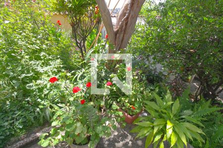 Casa à venda com 219m², 3 quartos e 6 vagasQuintal