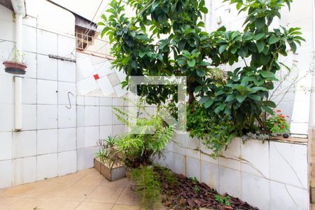 Casa à venda com 116m², 2 quartos e sem vaga Casa à venda com 116m², 2 quartos e sem vagaQuintal