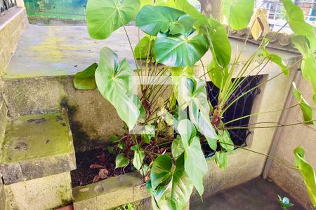 Casa à venda com 300m², 6 quartos e 2 vagas Casa à venda com 300m², 6 quartos e 2 vagasJardim