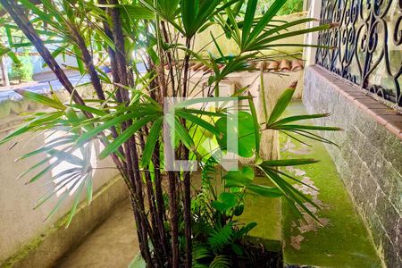 Casa à venda com 300m², 6 quartos e 2 vagas Casa à venda com 300m², 6 quartos e 2 vagasJardim