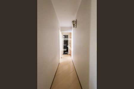 Corredor de apartamento para alugar com 2 quartos, 60m² em Vila Gomes Cardim, São Paulo