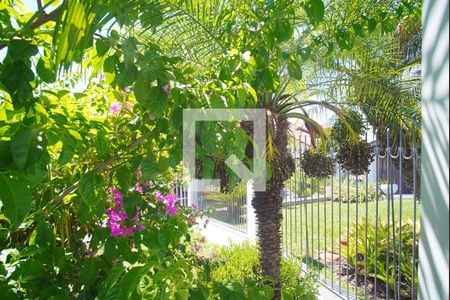 Quarto 1 - Vista de casa à venda com 3 quartos, 125m² em Santo Afonso, Novo Hamburgo