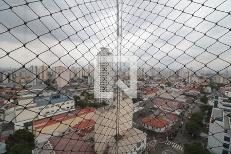 Apartamento para alugar com 257m², 3 quartos e 4 vagasVista da Varanda da Sala