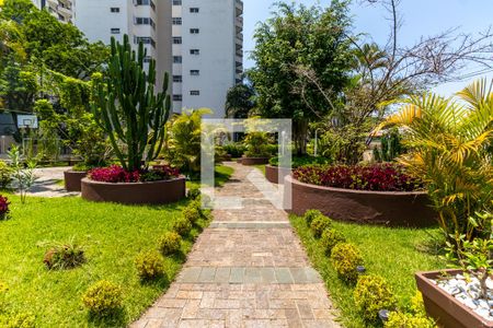 Área comum de apartamento para alugar com 2 quartos, 57m² em Vila Sofia, São Paulo