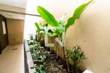 Studio para alugar com 20m², 1 quarto e sem vaga Studio para alugar com 20m², 1 quarto e sem vagaJardim