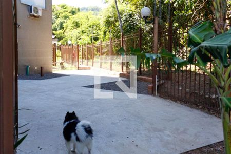 Apartamento para alugar com 64m², 2 quartos e 1 vagaCachorródromo