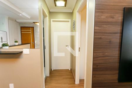 corredor de apartamento para alugar com 2 quartos, 56m² em Parque Reboucas, São Paulo