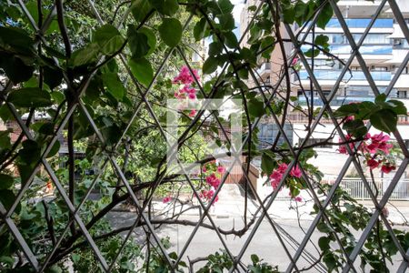 Vista Sala de apartamento para alugar com 3 quartos, 100m² em Méier, Rio de Janeiro