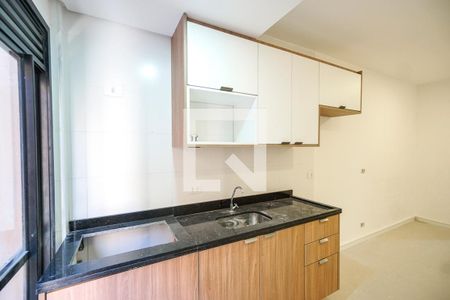 Cozinha de apartamento para alugar com 1 quarto, 39m² em Vila Zilda, São Paulo