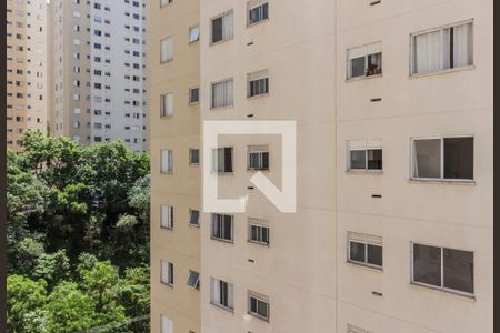 Apartamento para alugar com 52m², 2 quartos e 1 vagaVista do Quarto 1
