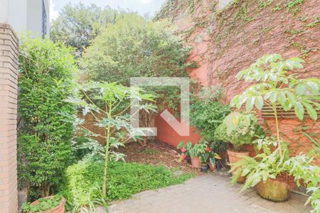 Casa para alugar com 400m², 5 quartos e 4 vagasQuintal