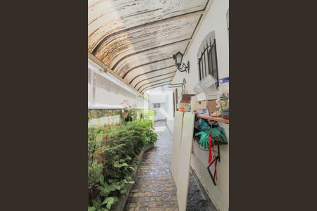 Casa para alugar com 400m², 5 quartos e 4 vagasQuintal