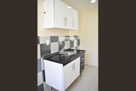 Apartamento para alugar com 53m², 2 quartos e 1 vagaCozinha - Armários