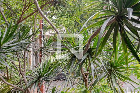 Apartamento à venda com 269m², 4 quartos e 3 vagasVista da Suíte 3