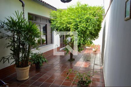 Casa à venda com 390m², 3 quartos e 4 vagas Casa à venda com 390m², 3 quartos e 4 vagasJardim de Inverno