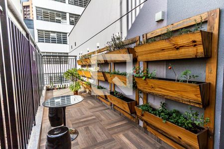 Studio para alugar com 32m², 1 quarto e sem vagaHorta