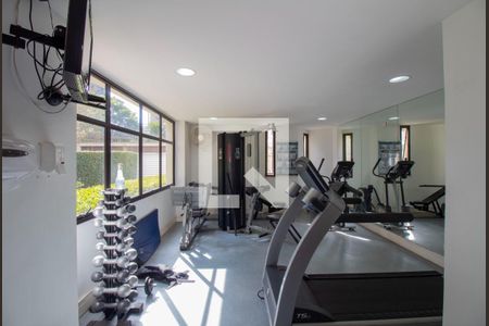 Apartamento à venda com 100m², 3 quartos e 2 vagas Apartamento à venda com 100m², 3 quartos e 2 vagasÁrea comum - Academia