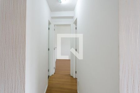 corredor de apartamento para alugar com 2 quartos, 40m² em Parque Reboucas, São Paulo